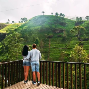 Romantic Wayanad  Pool Villa Honeymoon Package - 2 Night 3 Day. (Package code: 127)