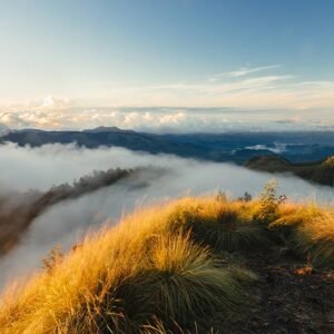 Junglee Kerala  Wildlife Jungle Safari Package  - 5 Night 6 Day. (Package code: 119)