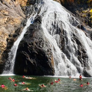 The Goan Falls Dudhsagar waterfall Trip   - 1Days. (Package code: 116)