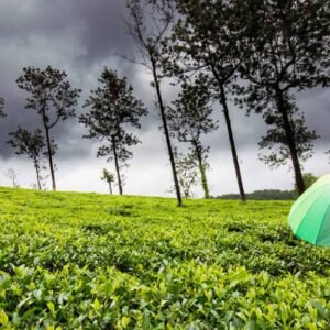 Immerse in the Rain Monsoon Package - 4 Night 5 Day. (Package code: 153)