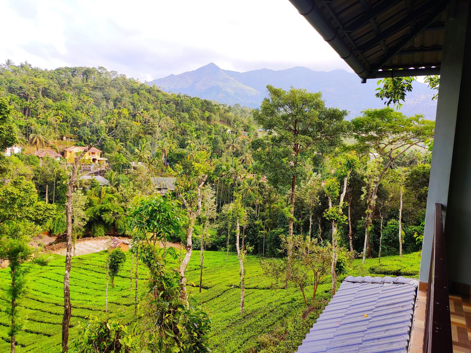 balcony-view-scaled