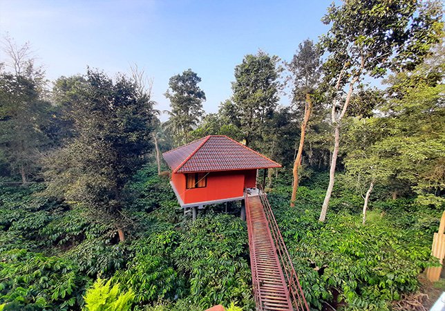 huts-in-wayanad