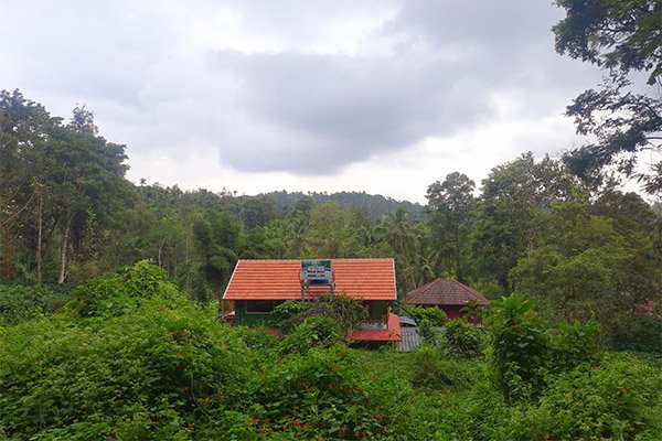 rooms-in-wayanad-2
