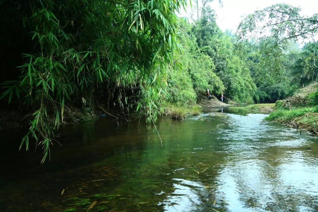 stream-view-stream2