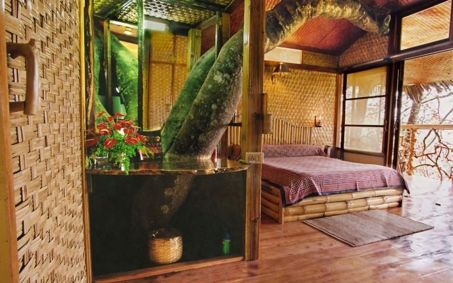 treehouse-hotels-tranquil-resort