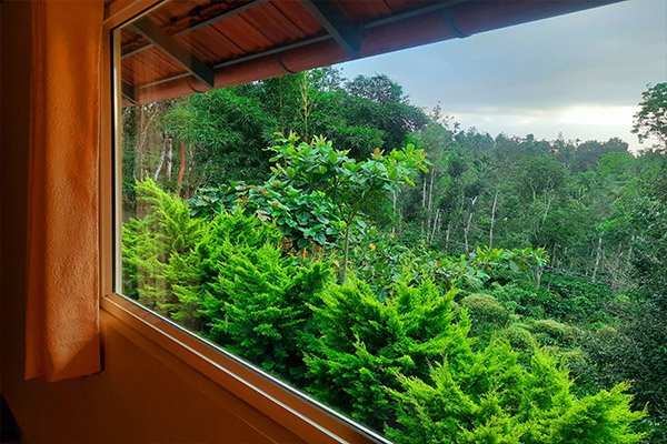 wild-stay-in-wayanad
