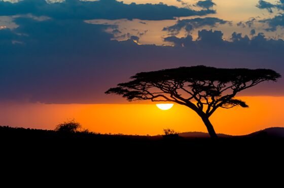 8 Best Places to Visit in Kenya