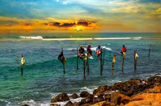 Sri Lanka Luxury Tour Package