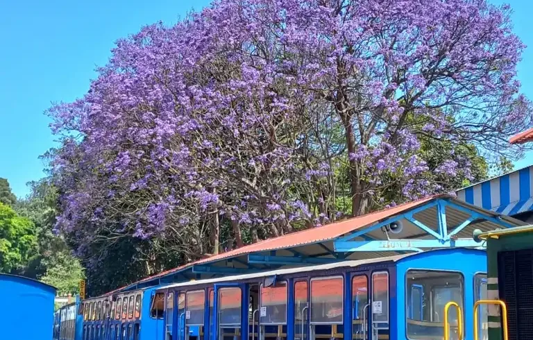 Nilgiri-Mountain-Railway-in-Coonoor