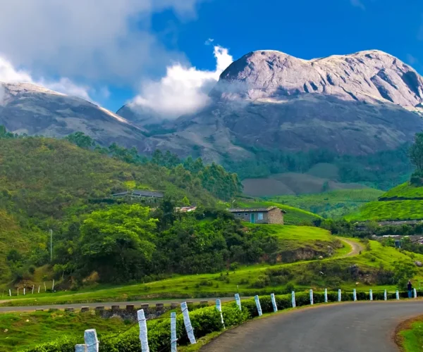 Wayanad, Munnar, Thekkady & Kumarakom – The Soul of Kerala Escape