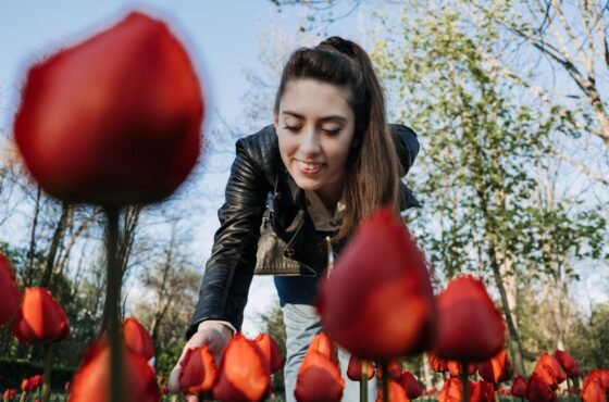 Tulip Festivals Around The World: Where To See The Best Displays